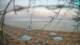San Vincenzo 01.07.2025 06:14