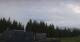 Bad Kohlgrub 17.04.2025 06:16