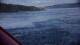Saltstraumen 09.06.2025 06:12