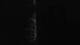 Maillezais 30.04.2025 06:16
