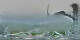 Schiefling am See 09.05.2025 06:58