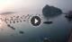 Ischia 14.06.2025 06:16