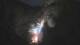 Colorado Springs, Colorado 30.04.2025 06:18