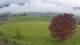 Abtenau 23.03.2025 06:17
