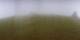 Wildhaus 08.07.2025 06:05