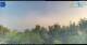 Gorga 14.06.2025 06:18