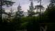 Narva-Jõesuu 07.07.2025 06:18