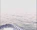 Mein Schiff 2 24.06.2025 06:18