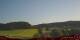 Hetzendorf 22.05.2025 06:19