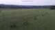 Großbreitenbach 09.06.2025 06:19