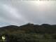 Neustadt-Hambach 12.07.2025 06:45