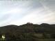 Neustadt-Hambach 09.06.2025 06:45