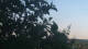Melle 17.04.2025 06:20