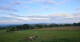 Grebenhain 12.07.2025 06:20