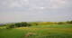 Grebenhain 15.06.2025 06:20