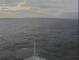 Costa Favolosa 08.06.2025 06:20