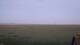 Vains 30.04.2025 06:21