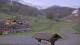 Les Orres 24.04.2025 06:21