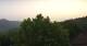 Bosia 09.06.2025 06:21
