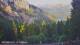 Schwangau 15.06.2025 06:23