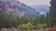 Schwangau 09.07.2025 06:22
