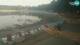 Novigrad 15.06.2025 06:23
