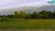 Pamparato 15.06.2025 06:23