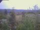 Eggedal 09.06.2025 06:23
