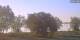 Werder (Havel) 01.05.2025 06:23