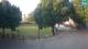 Svetvinčenat 15.06.2025 06:23