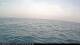 Wilmette, Illinois 15.06.2025 06:26