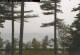 Windham, Maine 11.07.2025 06:25