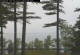 Windham, Maine 09.06.2025 06:26