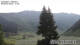 Klosters-Serneus 09.06.2025 06:28