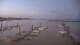 Châtelaillon-Plage 29.04.2025 06:27