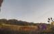 Montbliart 09.07.2025 06:27