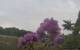 Montbliart 09.06.2025 06:28
