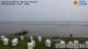 Husum 09.06.2025 06:29