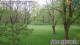Husum 30.04.2025 06:30