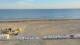 De Panne 03.07.2025 06:28