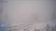 Narsaq 29.04.2025 06:31