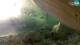 Brijuni 15.06.2025 06:28