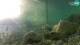 Brijuni 09.06.2025 06:29