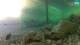 Brijuni 09.05.2025 06:29