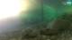 Brijuni 11.05.2025 06:29