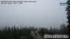 Seefeld in Tirol 15.07.2025 06:30