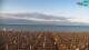 Bibione 09.07.2025 06:28