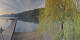Annenheim 20.05.2025 06:49