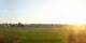 Altenrhein 29.06.2025 06:20