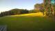 Sorica 06.07.2025 06:29